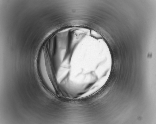 X0000101960530200808151317
