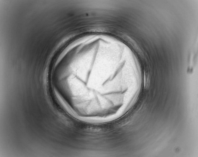 X0000101960531200808151317