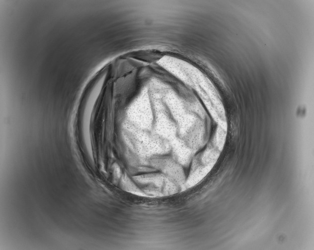 X0000101960532200808151317