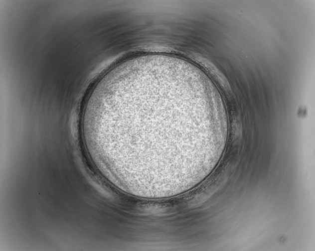 X0000101960533200808151317