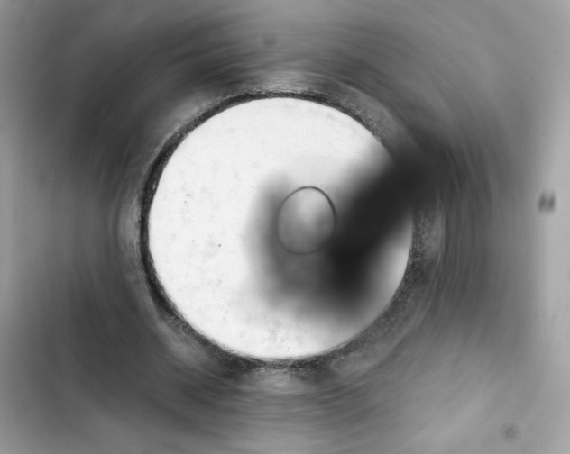 X0000101960534200808151317