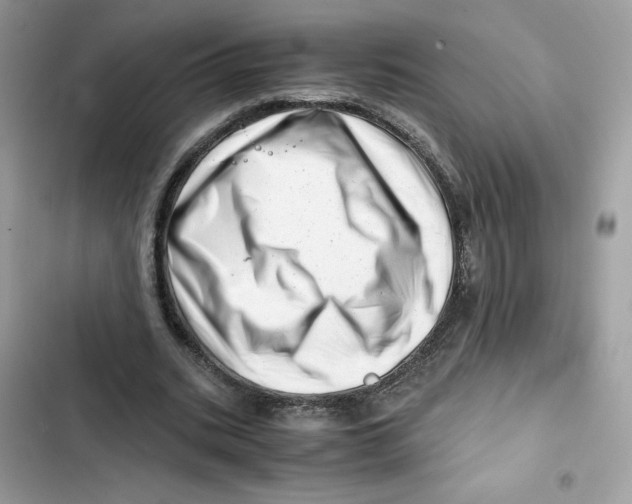 X0000101960535200808151317