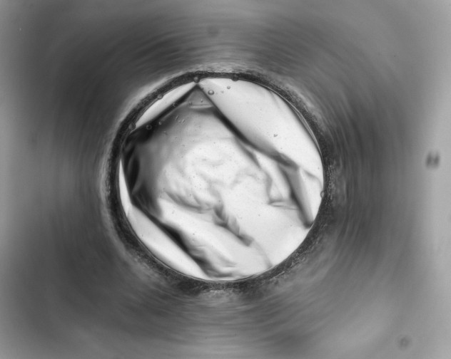 X0000101960536200808151317