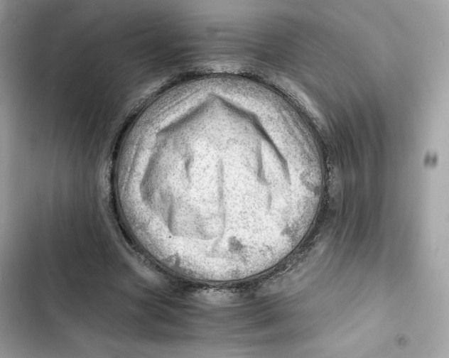 X0000101960537200808151317