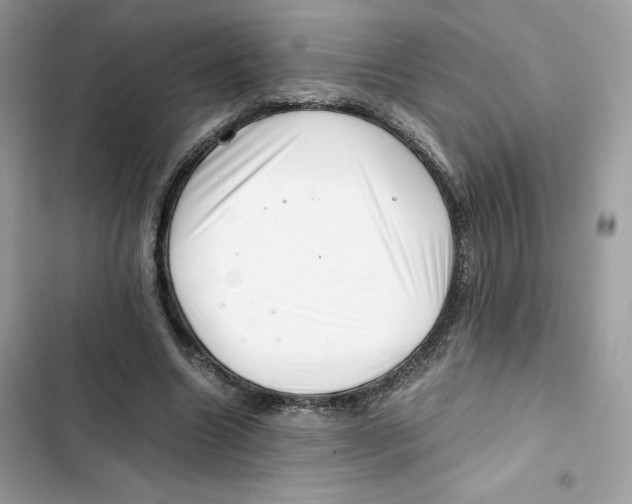 X0000101960538200808151317