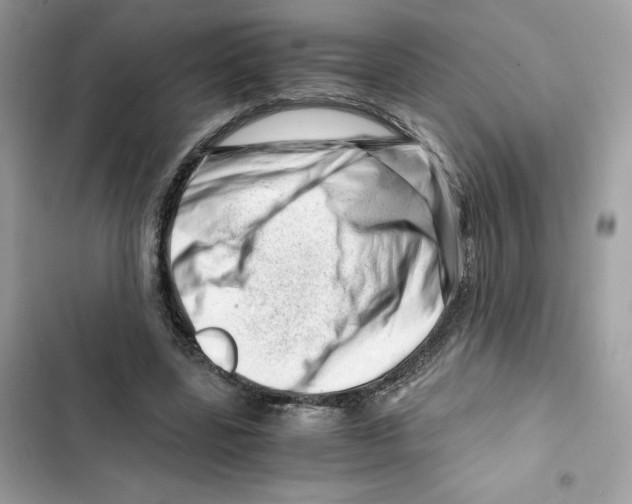 X0000101960539200808151317