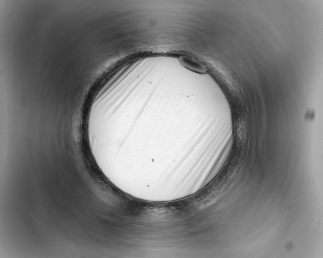 X0000101960540200808151317