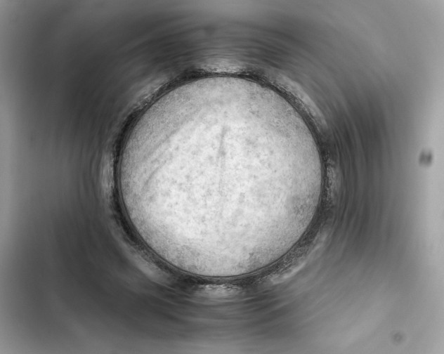 X0000101960541200808151317
