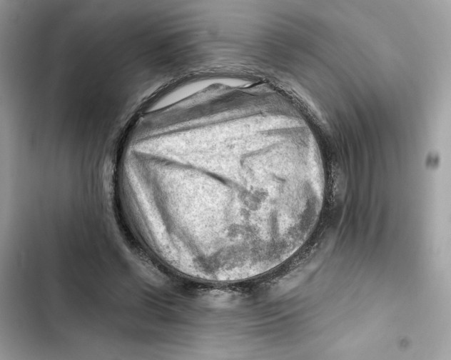 X0000101960542200808151317