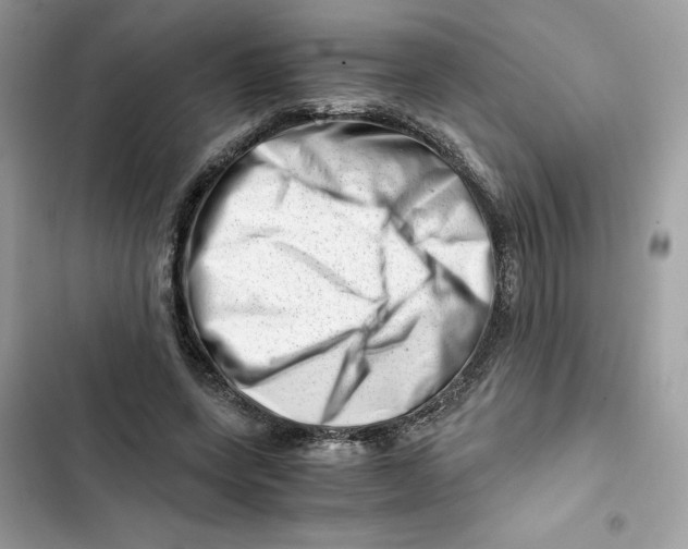 X0000101960543200808151317