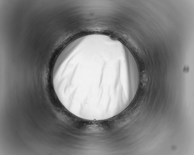 X0000101960544200808151317