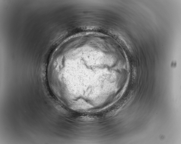X0000101960545200808151317
