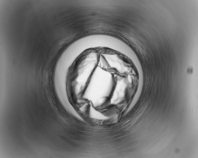X0000101960547200808151317