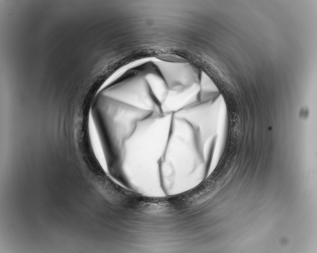 X0000101960548200808151317