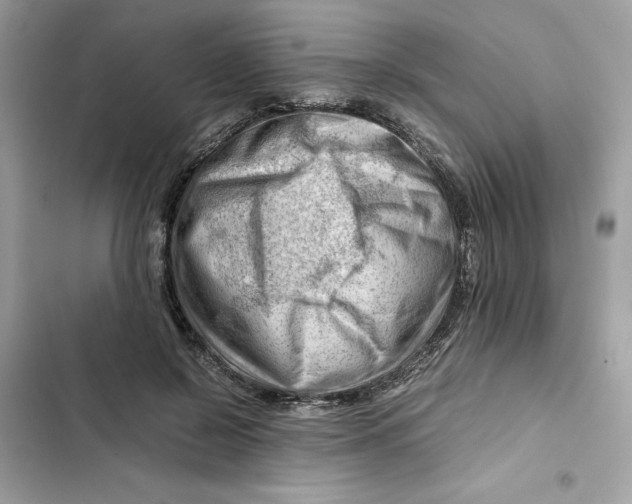 X0000101960550200808151317