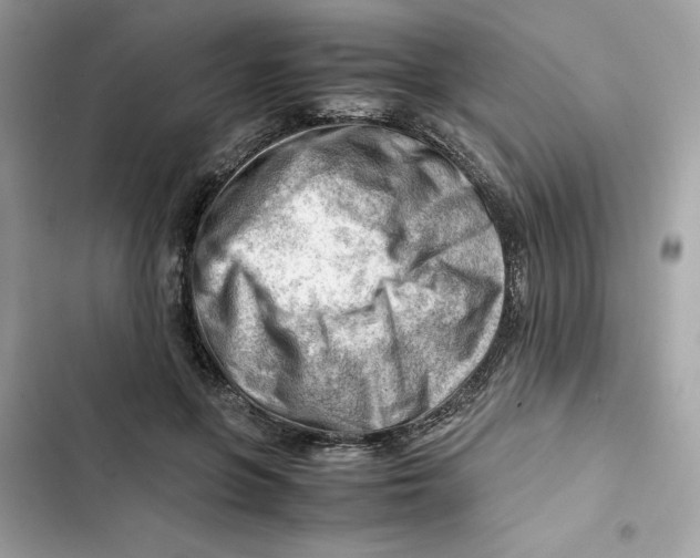 X0000101960551200808151317