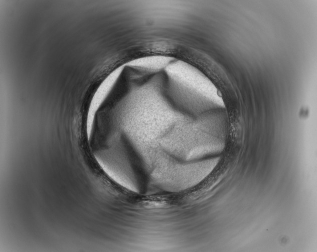X0000101960552200808151317