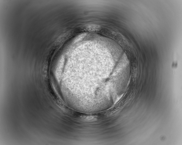 X0000101960553200808151317