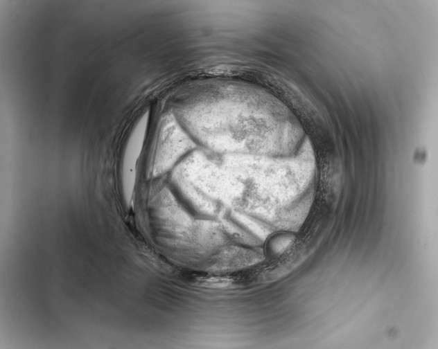 X0000101960554200808151317