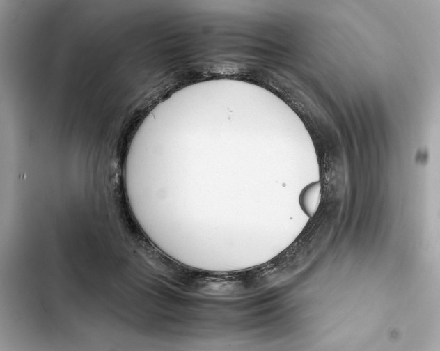 X0000101960555200808151318