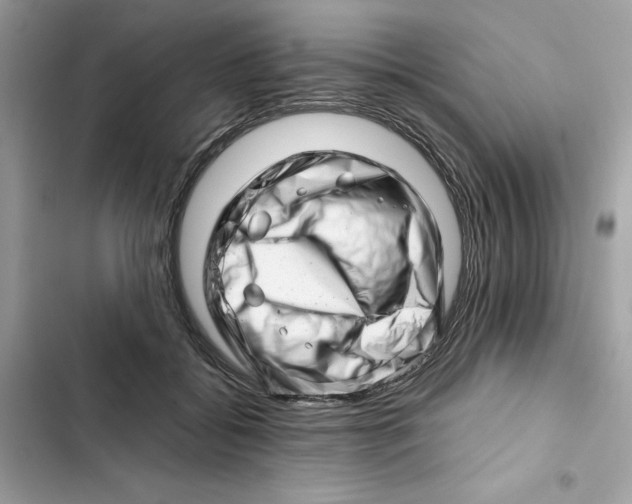 X0000101960556200808151318