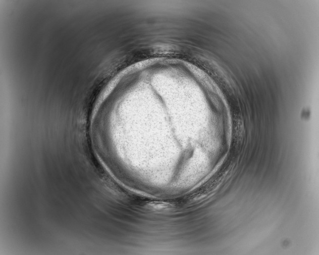 X0000101960557200808151318