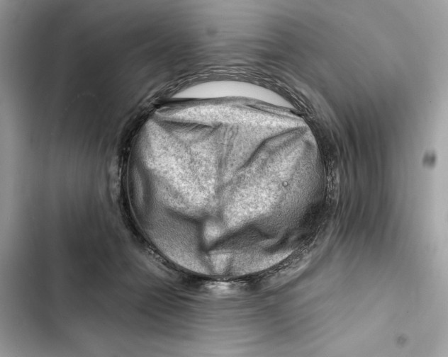 X0000101960558200808151318