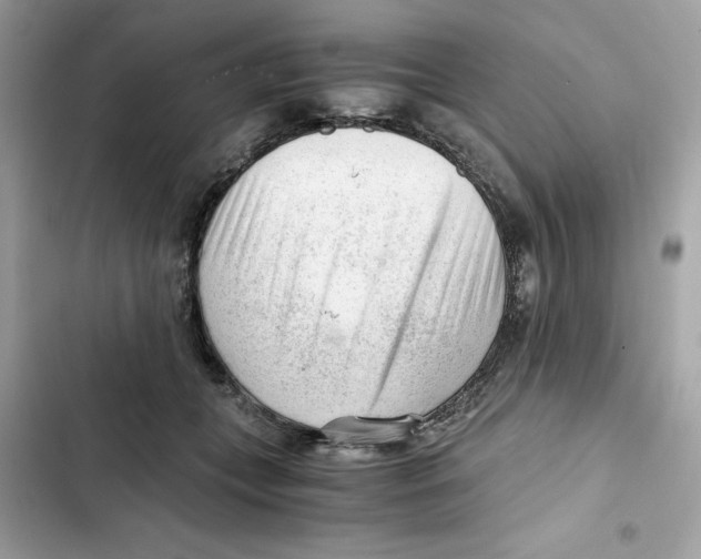X0000101960559200808151318