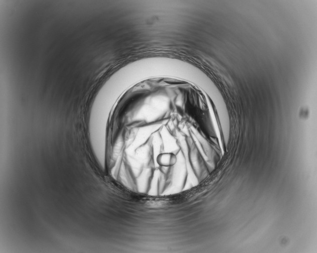 X0000101960560200808151318