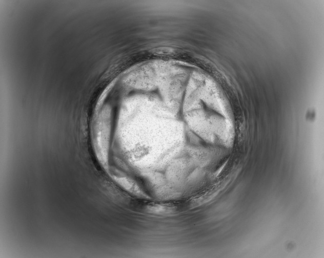 X0000101960561200808151318