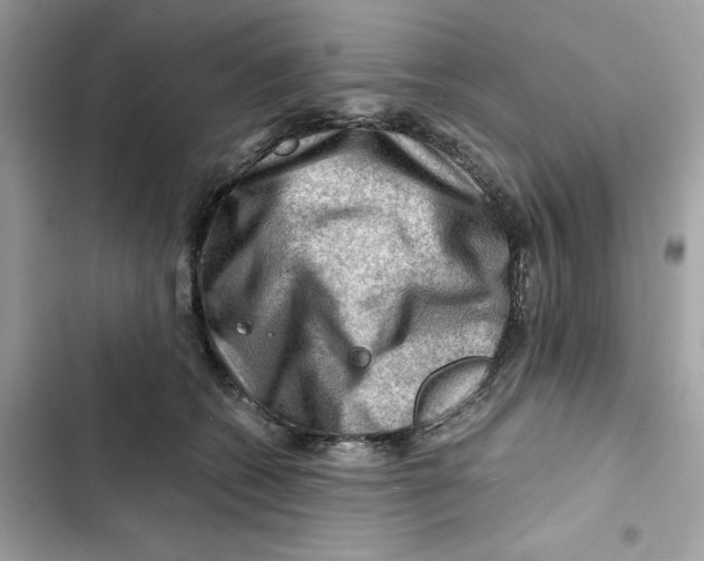 X0000101960562200808151318