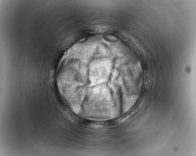 X0000101960563200808151318