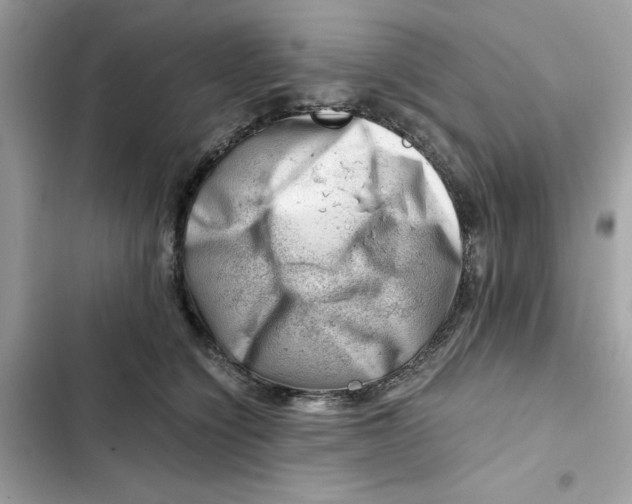 X0000101960564200808151318