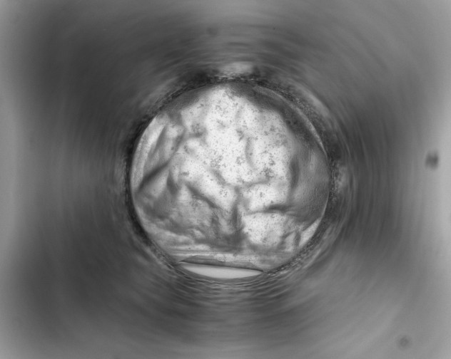 X0000101960565200808151318