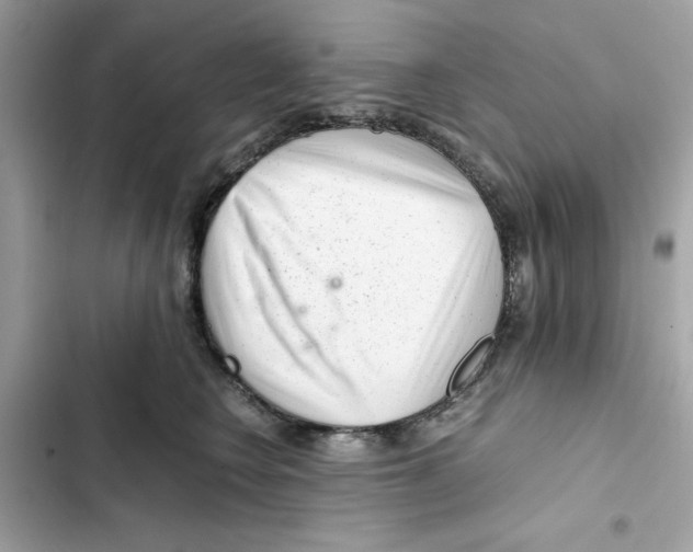 X0000101960566200808151318