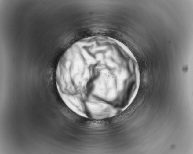 X0000101960567200808151318