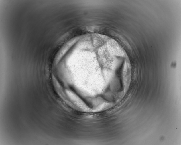 X0000101960569200808151318