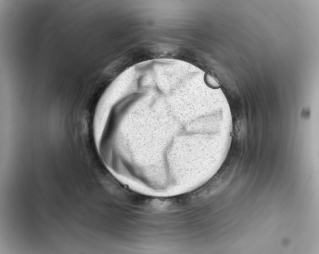 X0000101960570200808151318