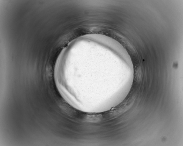 X0000101960571200808151318