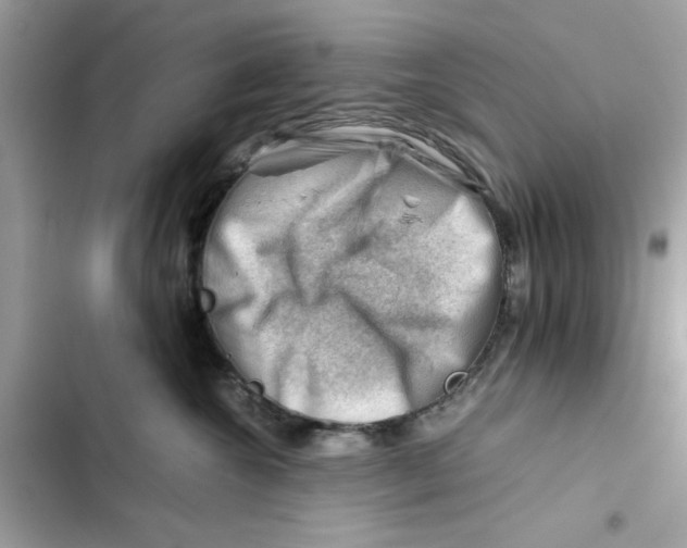 X0000101960572200808151318