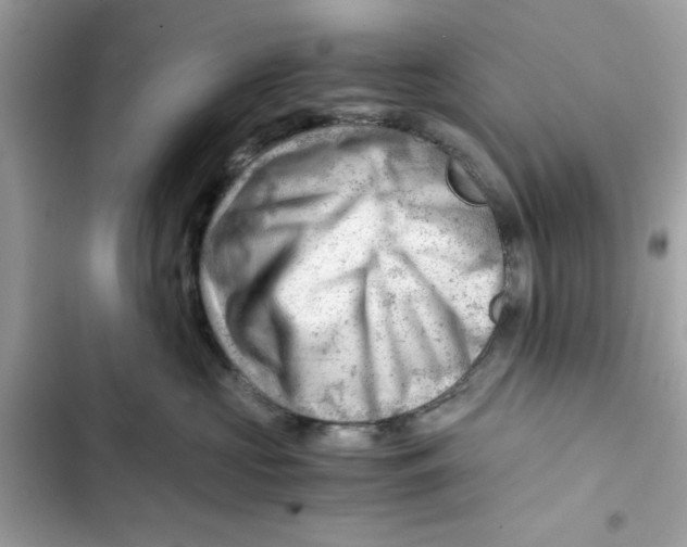 X0000101960573200808151318