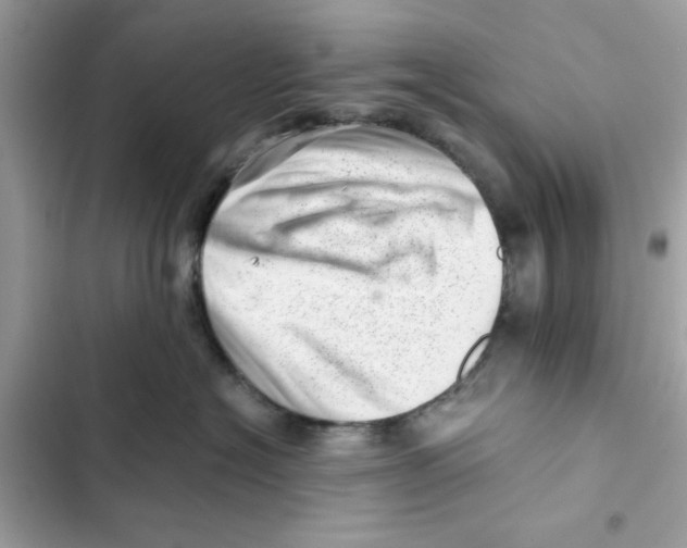 X0000101960574200808151318