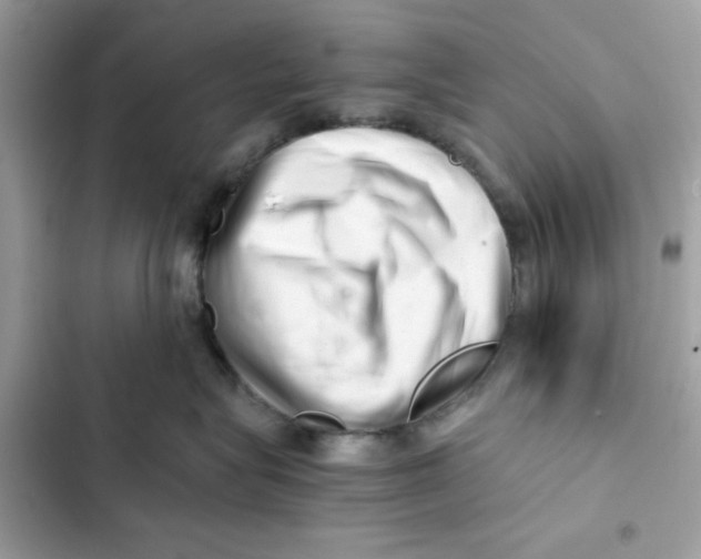X0000101960575200808151318