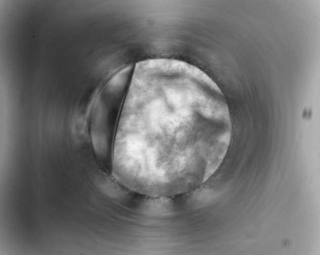 X0000101960576200808151318