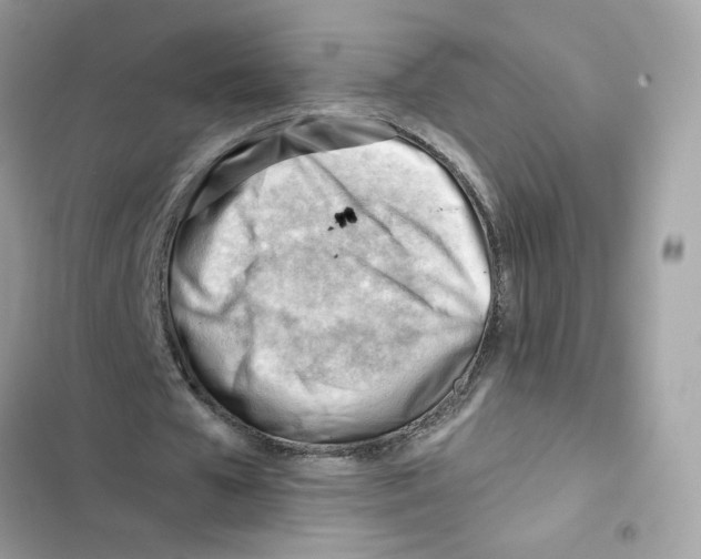X0000101960577200808151317
