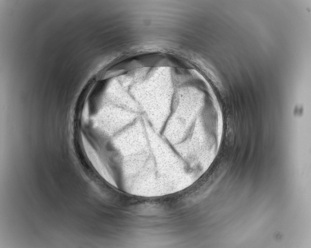 X0000101960578200808151317
