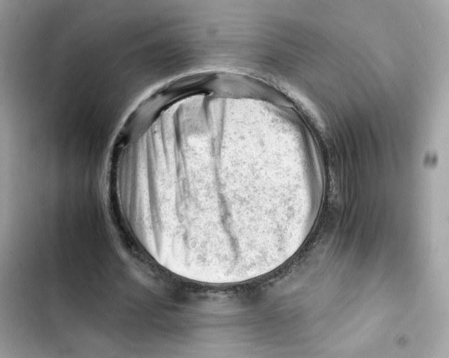 X0000101960580200808151317
