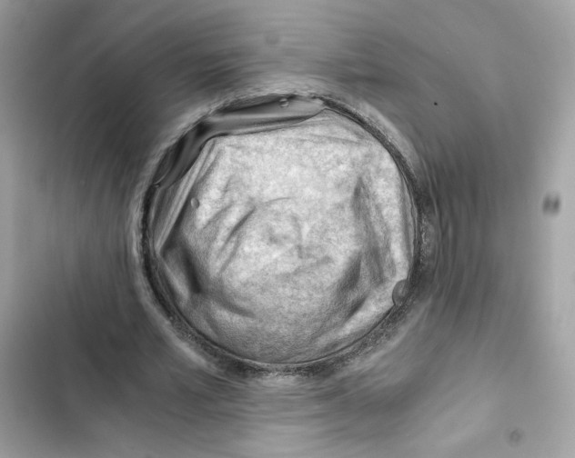 X0000101960581200808151317
