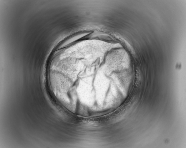 X0000101960582200808151317