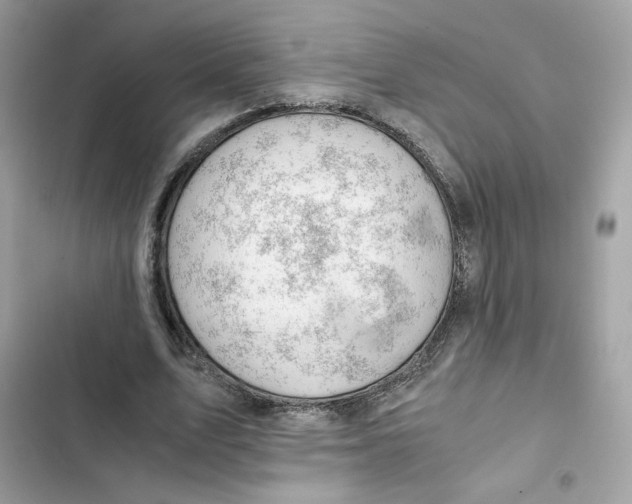 X0000101960583200808151317